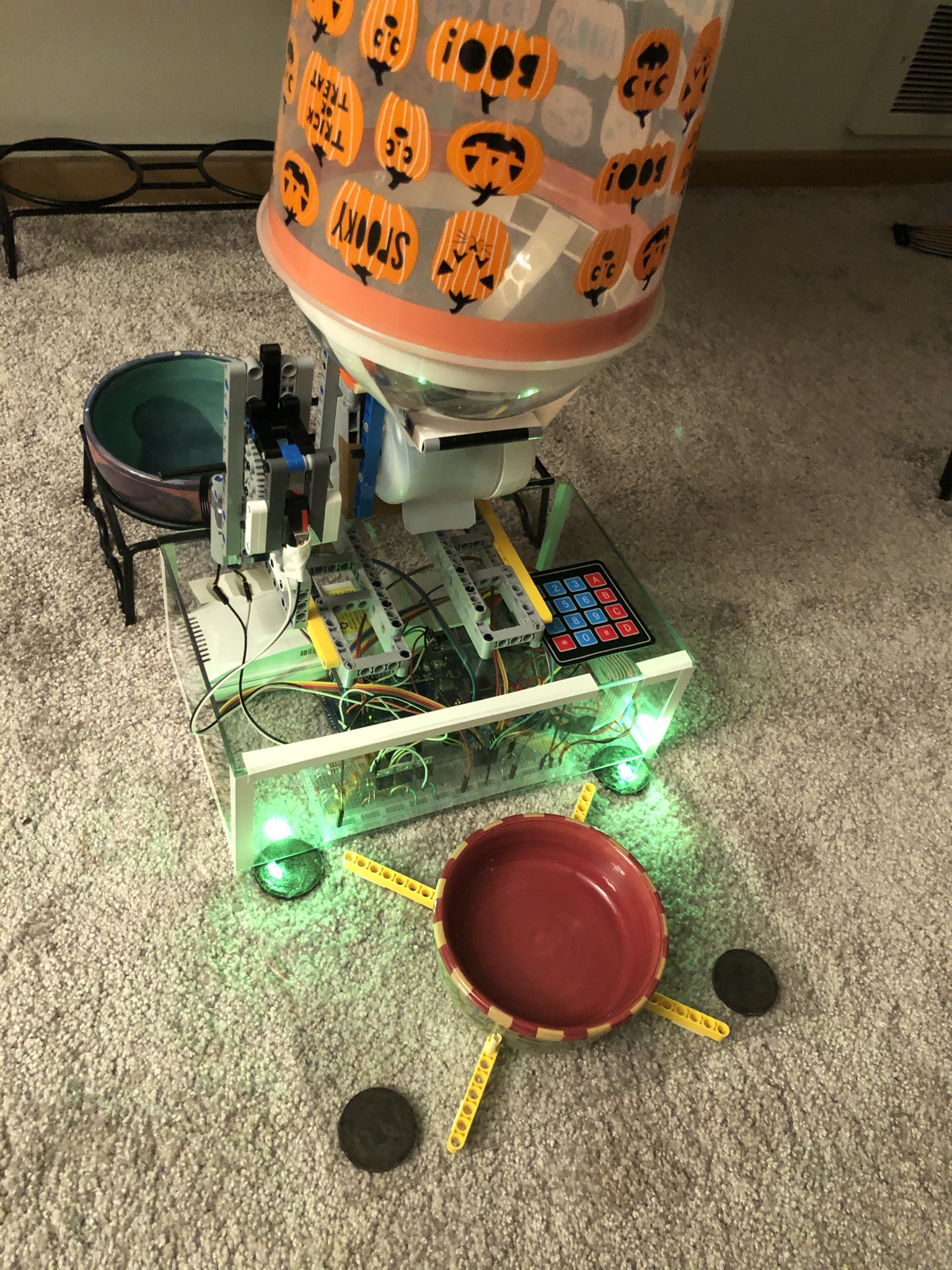Pet Feeder Project